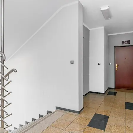 Bishops Hill - Billberry