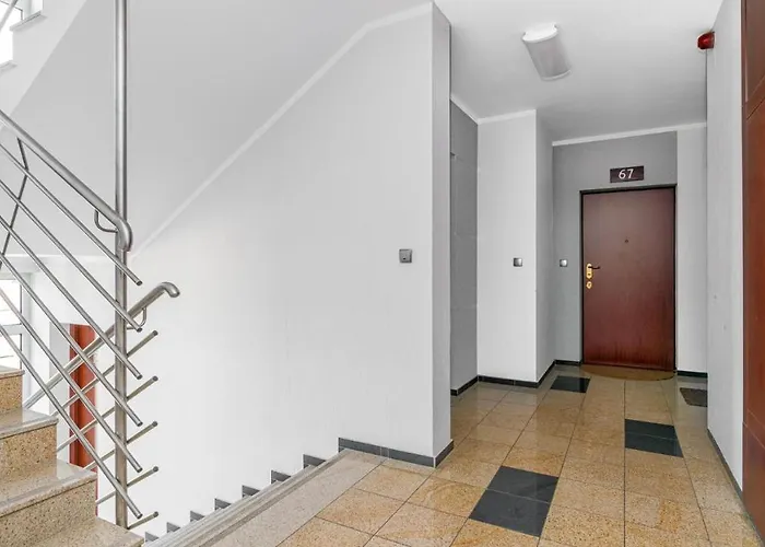 Bishops Hill - Billberry